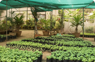  Learning and Beyond Consumption Image